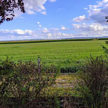 Grosse Schoenheit Mit Panoramablick Ойскирхен Экстерьер фото